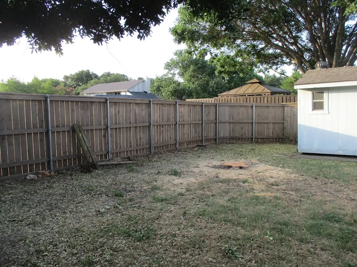 Cleared yard after professional tree removal in North Liberty